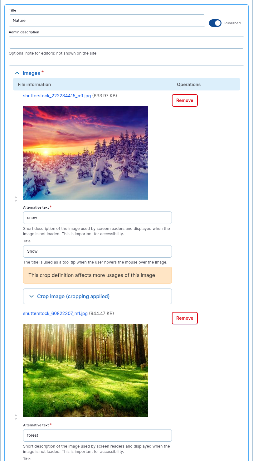 The Image Gallery item form opened from the Image Gallery card.