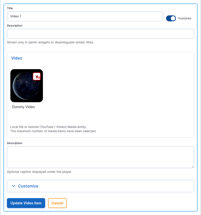 The Video Item item form opened from the Video card.
